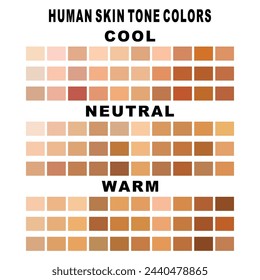 Collection Color palette, Skin tones. Flat vector illustration. skin color infographics. skin tone, vector icon. 