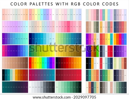 Collection of Color Palettes. Color Swatches for Designing Flat Vector