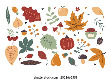Collection of colored beautiful autumn items isolated on white background. Apple, pear, pumpkin, rowan, leaves, fruits, twigs, jam jar, mushrooms. Autumn. All objects are separated. Hand drawn. Vector