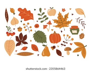 Colección de hermosos objetos de otoño de color aislados en un fondo blanco. Apple, pera, calabaza, rowan, hojas, frutas, ramas, tarro de mermelada, setas. Otoño. Todos los objetos están separados. Dibujado a mano. Vector