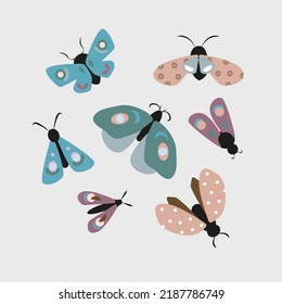 Collection of colored bugs and butterflies
