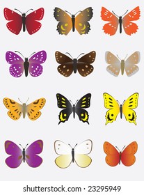 A collection of colored butterflies. Vector illustration