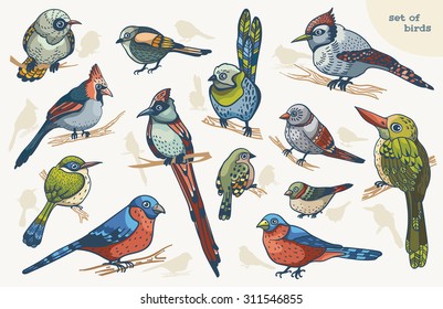 Collection of colored cartoon birds on a white background. 