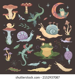 Collection colored cartoon sketches goblincore style attributes  snails  mushrooms   frogs 
