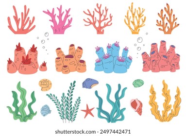 Collection of colored corals and plants of different shapes, coral reef. Flora of the seabed. Decoration of the aquarium. Vector illustration