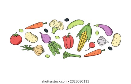 Collection of colored drawing vegetables in doodle style. A set of vector illustrations of the harvest corn potatoes carrots radishes beets garlic onions tomatoes, etc.