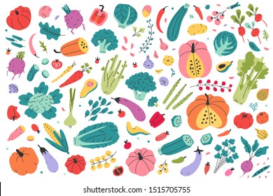 Collection of colored hand drawn fresh vegetables isolated on white background. Big bundle of tasty vegetarian products, wholesome healthy food. Flat cartoon doodle vector illustration, farming market