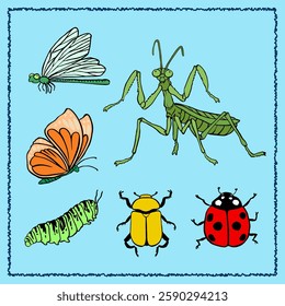 a collection of colored insects and insects