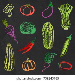 Collection of colored sketches of various vegetables at black chalkboard. Vector illustration.