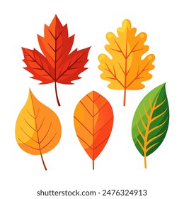 A collection of colorful autumn leaves against a white backdrop in the image