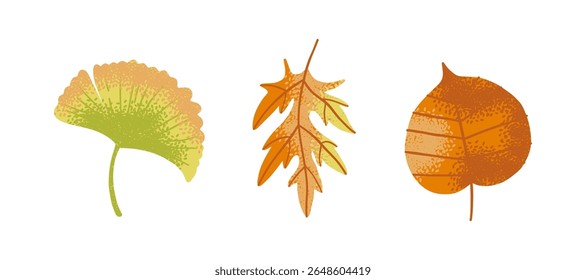 Collection of colorful autumn leaves, including ginkgo and maple, isolated on white background. Fall foliage set for seasonal decor, print design, and nature themes.