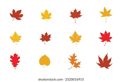 A collection of colorful autumn leaves in red, orange, and yellow hues, arranged in a scattered pattern on a white background.