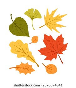 Collection of colorful autumn leaves in various shapes and colors, illustrated on a white background. Concept of fall, nature, and seasonal design. Vector illustration