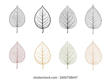 A collection of colorful autumn leaves in various shapes and shades of yellow, orange, and brown black line art