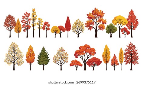 Uma coleção de árvores de outono coloridas em uma variedade de formas e tamanhos.