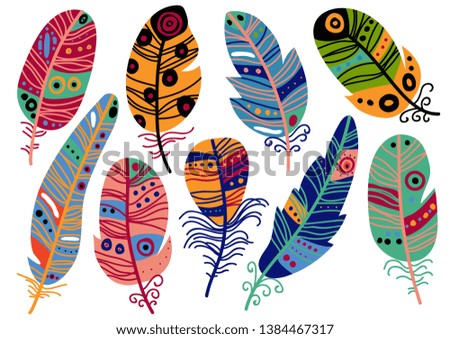 Collection of Colorful Bird Feathers with Patterns Set, Beautiful Decoration Elements Vector Illustration