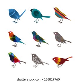 Collection of colorful birds, vector illustration