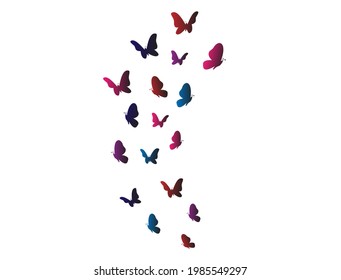 A collection of colorful butterflies