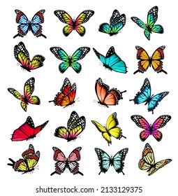 Collection of colorful butterflies, flying in different directions. Butterfly silhouette. Vector.