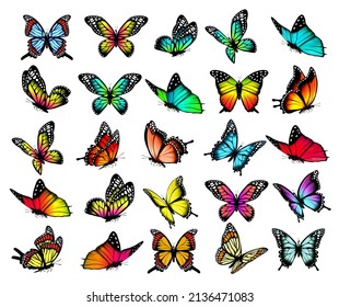 Collection of colorful butterflies, flying in different directions. Butterfle silhouette. Vector.