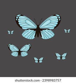 Collection of colorful butterflies, flying in different design Vector.