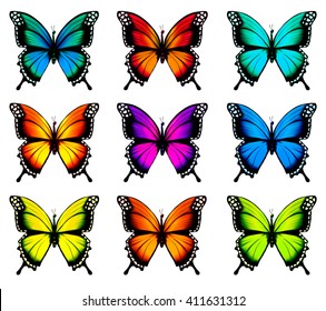 Collection of colorful butterflies, flying in different directions. Vector.