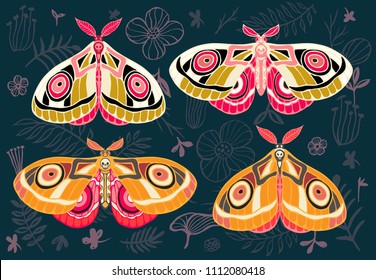 Collection colorful butterflies  night tropical moths hawkmoth floral background  vector insect set  vintage style  wings  flowers  leaves  Hand drawn vector illustration 
