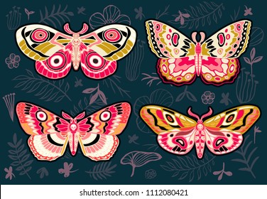 Collection colorful butterflies  night tropical moths hawkmoth floral background  vector insect set  vintage style  wings  flowers  leaves  Hand drawn vector illustration 
