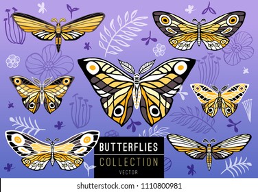 Collection of colorful butterflies on a floral background, vector set of insects, vintage style, wings, flowers, leaves. Hand drawn vector illustration.