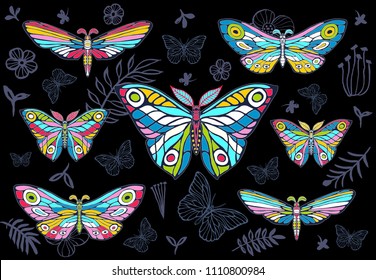 Collection of colorful butterflies on a floral background, vector set of insects, vintage style, wings, flowers, leaves. Hand drawn vector illustration.