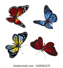 Collection of colorful butterflies. Vector