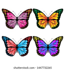 Collection of colorful butterflies vector.