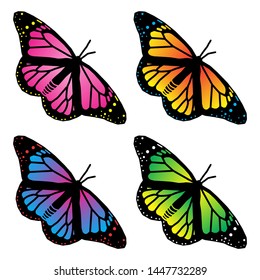 Collection of colorful butterflies vector.
