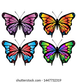 Collection of colorful butterflies vector.