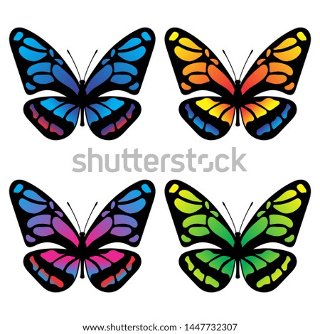 Collection of colorful butterflies vector.