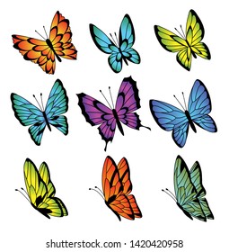 Collection of colorful butterflies. Vector butterfly set.