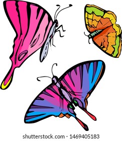 Collection of colorful butterflies vector. Hand-drawn style.