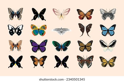 Colección De La Ilustración Del Vector De Mariposas Coloridas