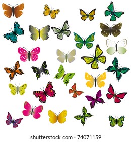 A collection of colorful butterflies. Vector illustration