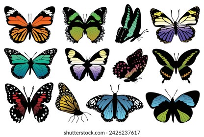 Collection of Colorful butterflies white background