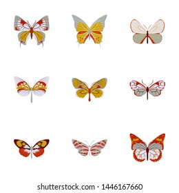 collection of colorful butterflies for your design