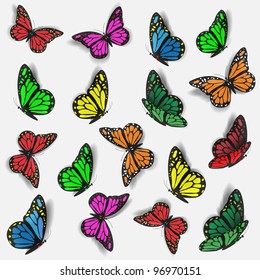 Collection of colorful butterflies.Vector eps10