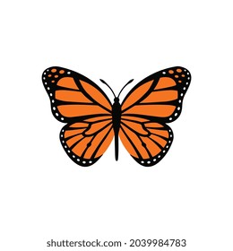 Collection of colorful butterfly Vector.