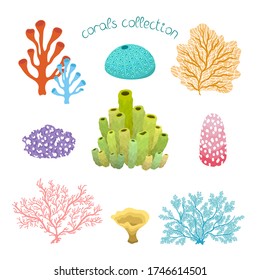 Collection with colorful cartoon corals, isolated on white background. Vector hand drawn illustration with under the sea scene set.