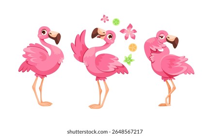 Uma coleção de Flamingos coloridos de desenhos animados retratados em várias posas e cenas lúdicas