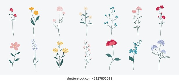 Colección de elementos florales coloridos en color plano. Conjunto de flores silvestres de primavera y verano, plantas, ramas, hojas y hierbas. Dibujo manual de vectores de flores para decoración, sitio web, gráfico y tienda.