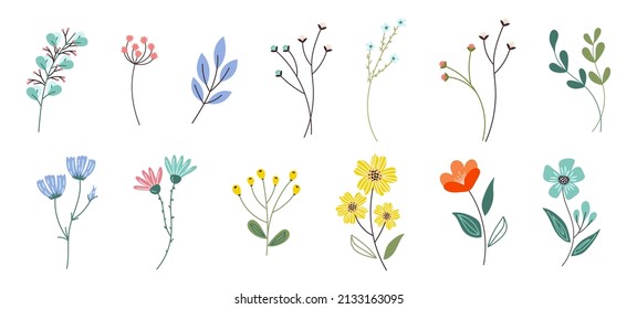 Collection of colorful floral elements in flat color. Set of spring and summer wild flowers, plants, branches, leaves and herb for decor, website, graphic and shop.