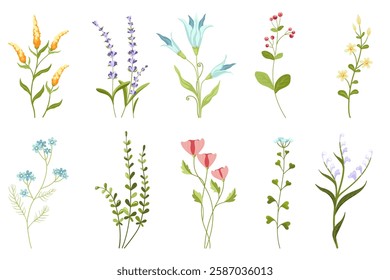 Collection of colorful flower and botanical vector elements. Set of branches, leaves, herbs, wild plants, flowers. Perfect for use in graphic design projects, invitations, cards, fabric patterns, and