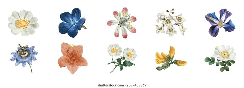 A collection of colorful flower illustrations, featuring diverse blooms like blue, pink, and yellow flowers. Each flower is uniquely detailed and vibrant. Botanical elements, vector set.