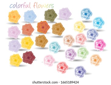 a collection of colorful flowers arranged on a White Background